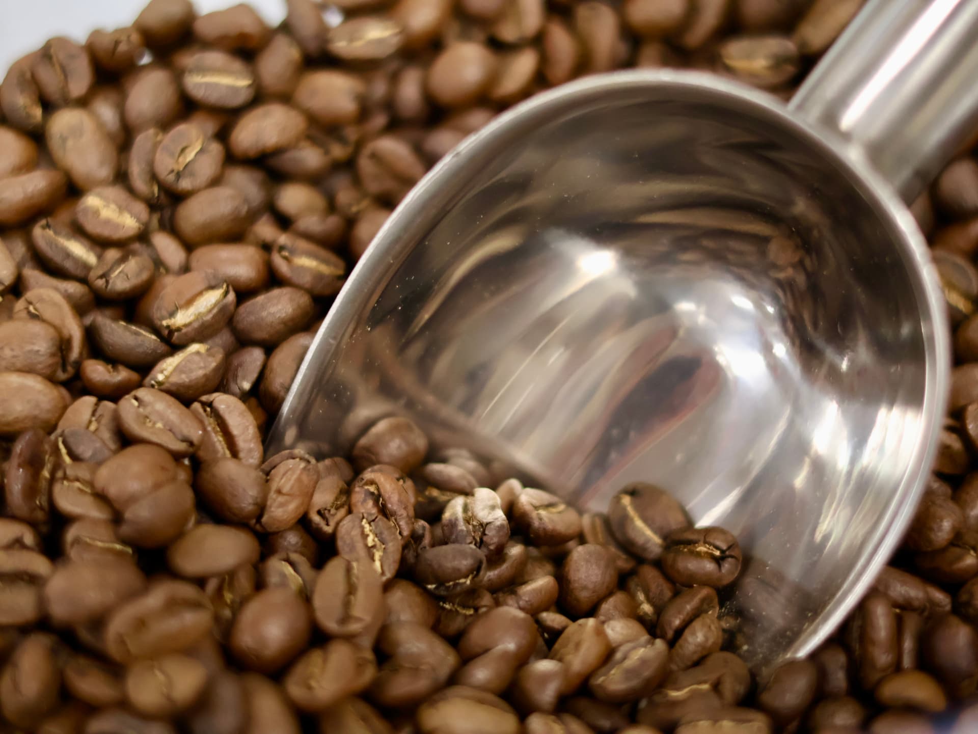 Steel scoop resting in freshly roasted coffee beans